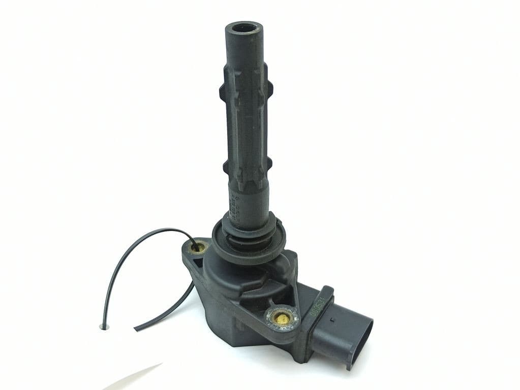 A0009060060